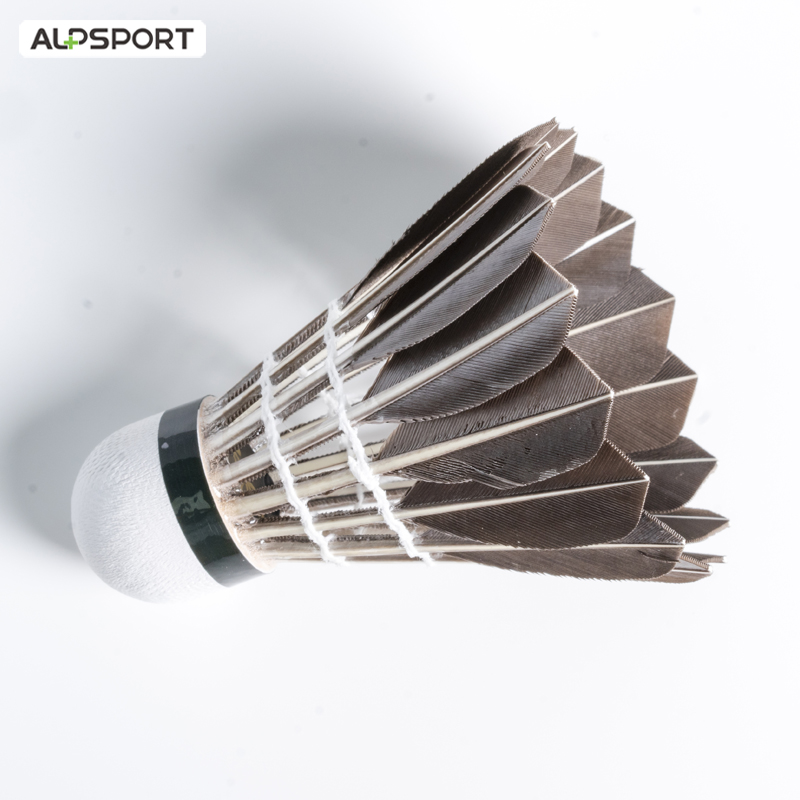 Lotki do badmintona ALP 806, 1 – Badminton Victor recenzja i cena