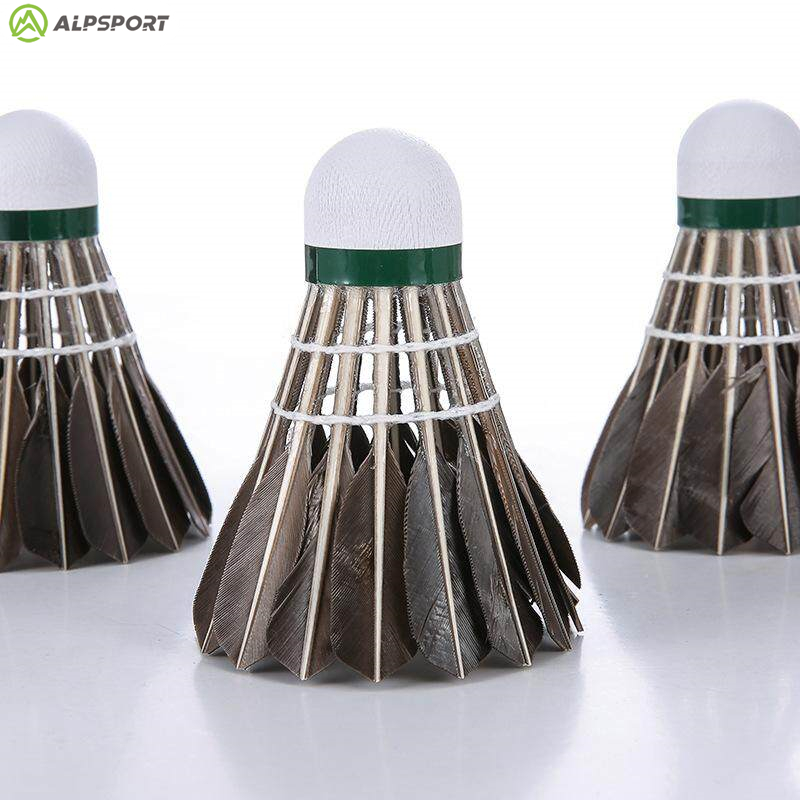 Lotki do badmintona ALP 806, 1 – Badminton Victor recenzja i cena